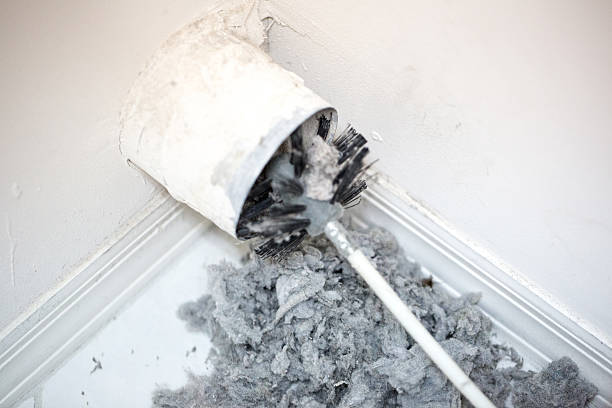 Best Ventilation System Cleaning in Ottawa, OH